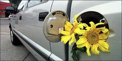 Biodiesel é ecologicamente correto, mas se for adicionado ao diesel em percentuais elevados pode causar danos ao motor