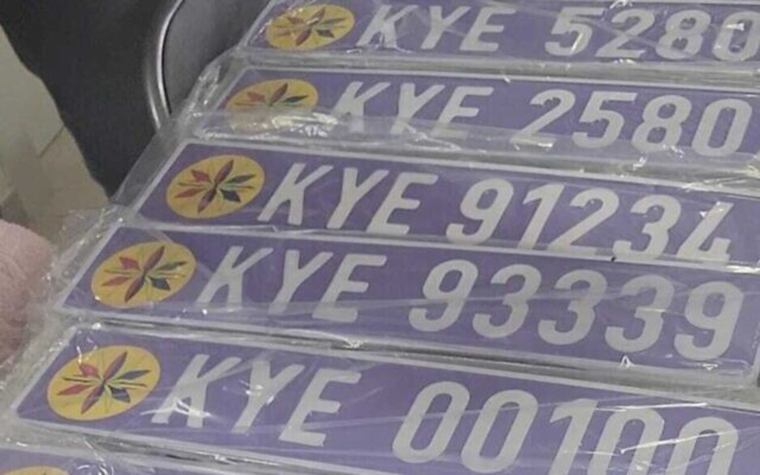 Diversas placas estrangeiras falsas foram apreendidas na casa do suposto rei