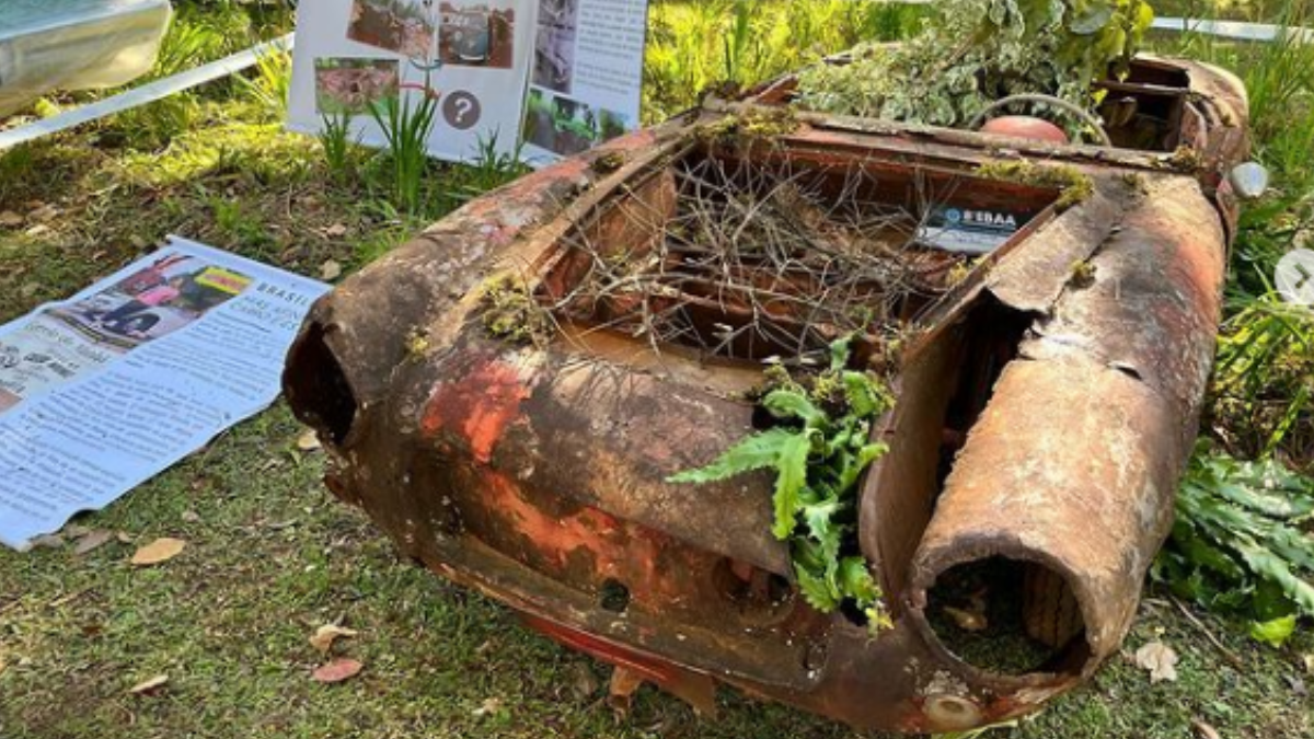 carroceria do Brasília de 1960 ficou abandonada a céu aberto por quase 50 anos