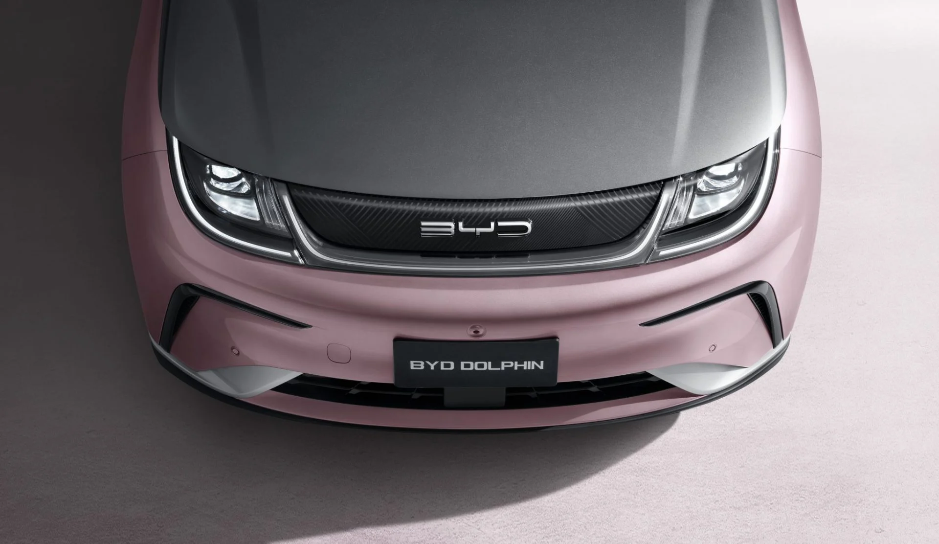 BYD Dolphin Plus rosa com preto