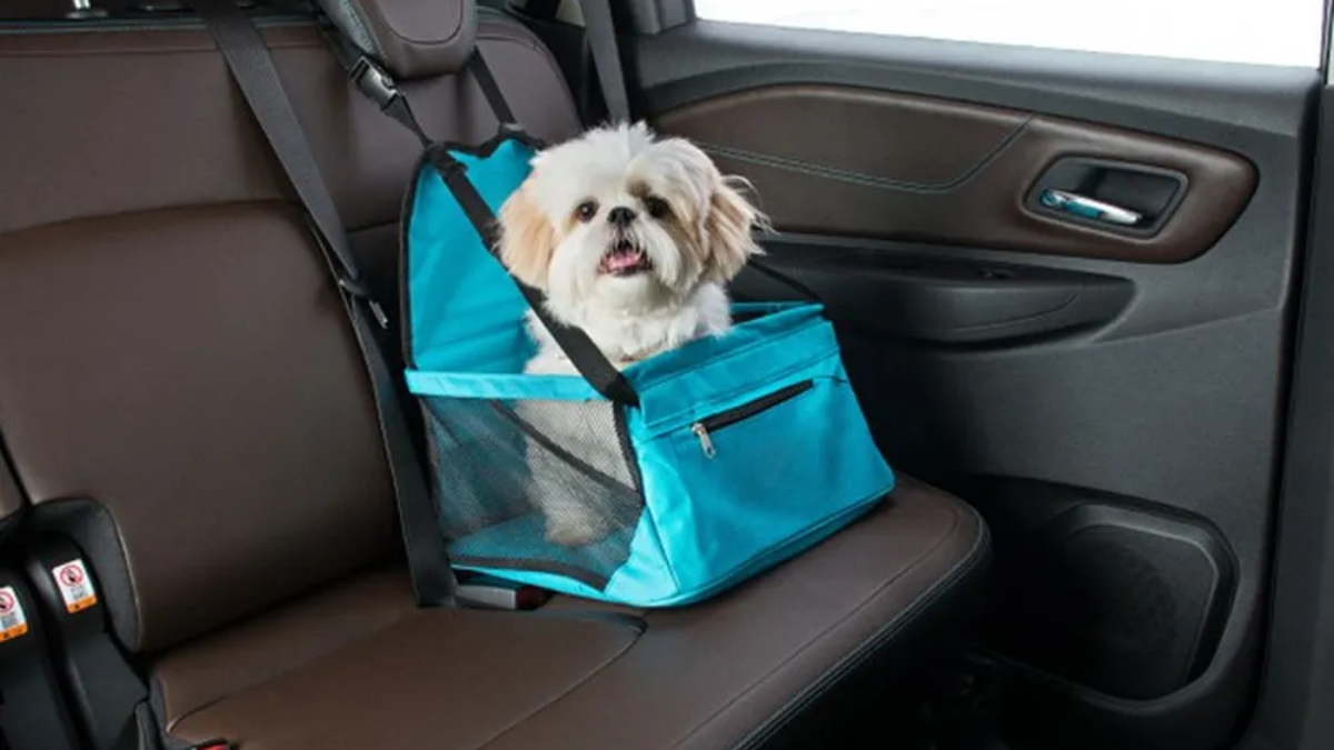 bolsa de transporte de pets azul